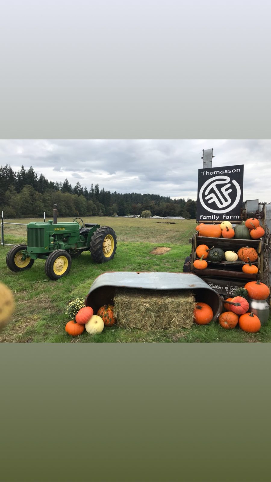 IMG_7589 Thomasson Family Farm in Enumclaw