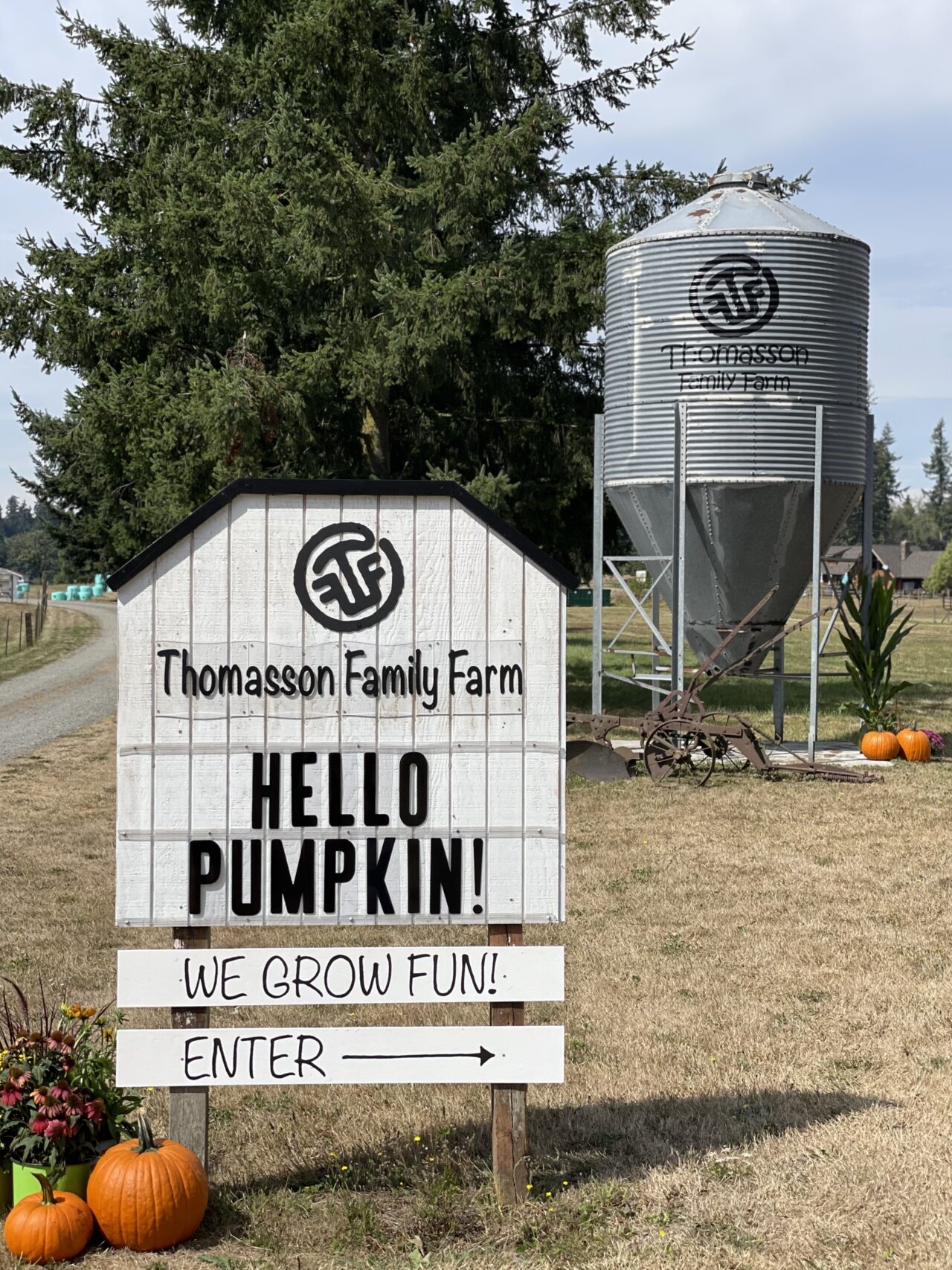 Pumpkin Patch Halloween Pumpkin Patch Auburn Pumpkin Patch